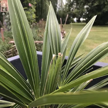 Bed & Breakfast Campagn'art Les Fosses