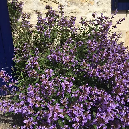 Campagn'art * Les Fosses