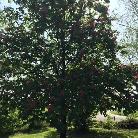 Campagn'art * Les Fosses