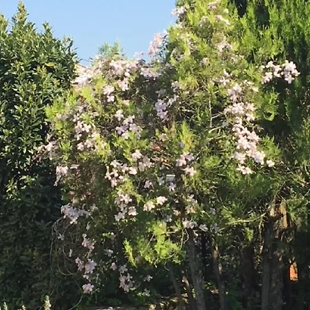 Campagn'art Bed & Breakfast Les Fosses