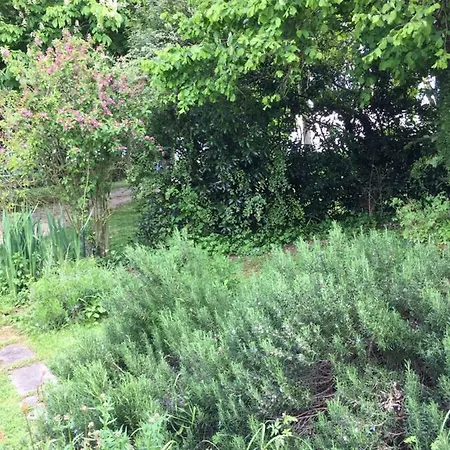 Campagn'art Bed & Breakfast Les Fosses