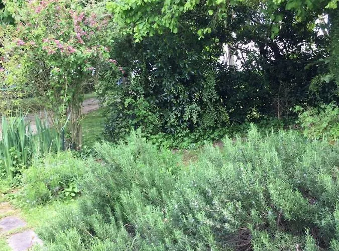 Campagn'art Bed & Breakfast Les Fosses